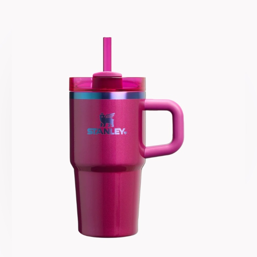 NEW Stanley The Valentine’s Day Quencher H2.O FlowState Tumbler with Handle 20oz